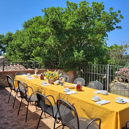 Tenuta Bonelli Castelnuovo Berardenga